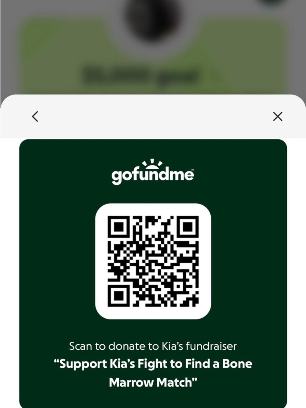 Go Fund Me Giveback Show - Picture 2 of 12